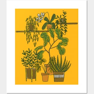 Indoor Potted Plant Garden Posters and Art
